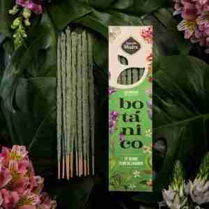 BOTÁNICO - TÉ VERDE - CHAMPA