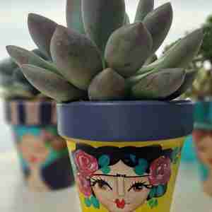 Maceta pintada a mano / plantita incluída!